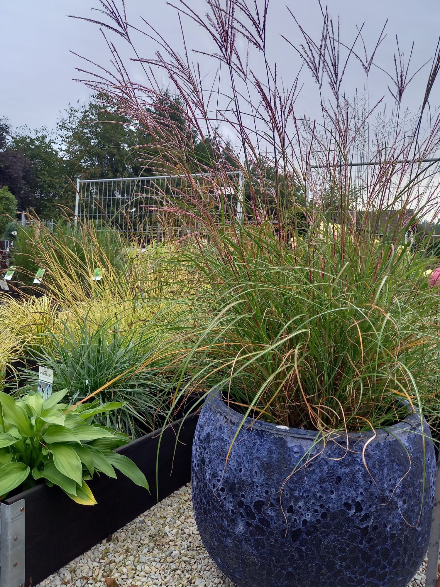 WhatsApp Image 2021-10-04 at 130919 2