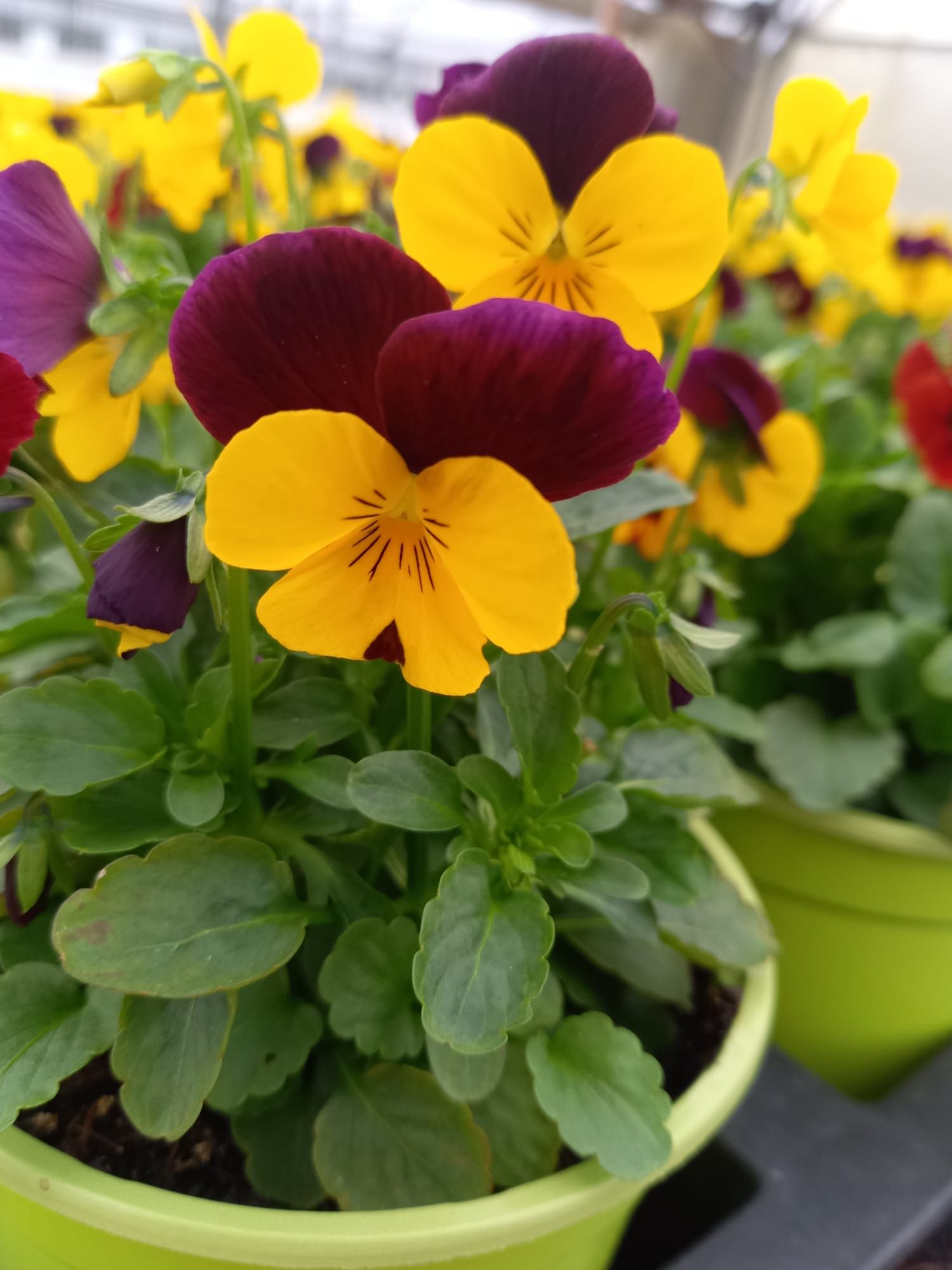 WhatsApp Image 2021-10-04 at 130920