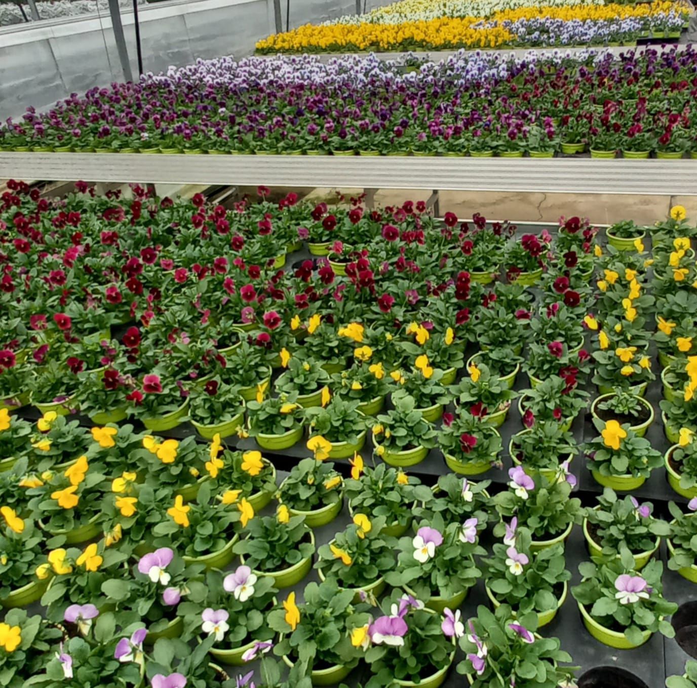 WhatsApp Image 2021-10-04 at 130920 1