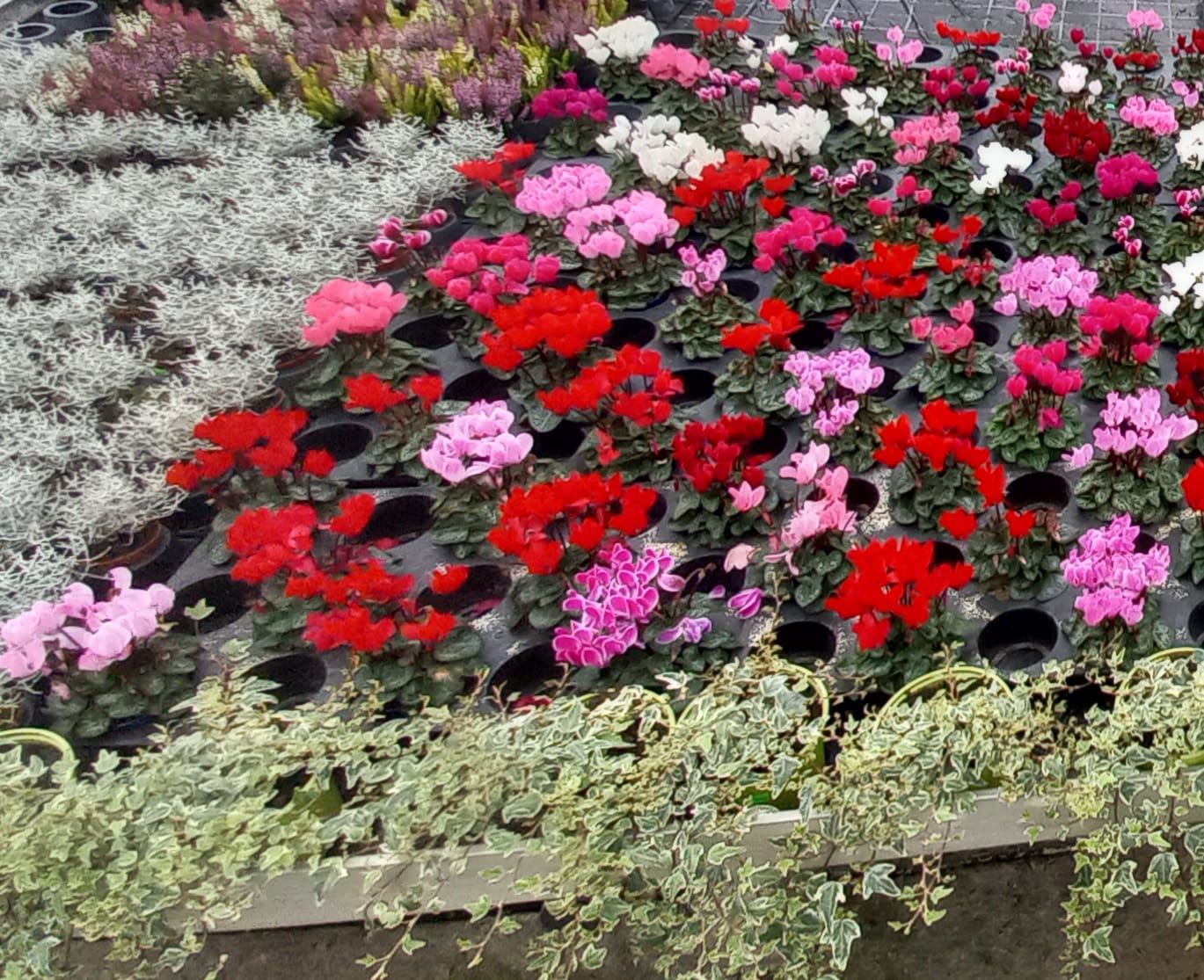 WhatsApp Image 2021-10-04 at 130920 6