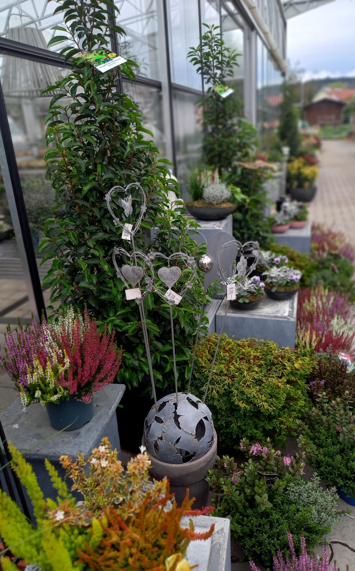 WhatsApp Image 2021-10-04 at 130923 5