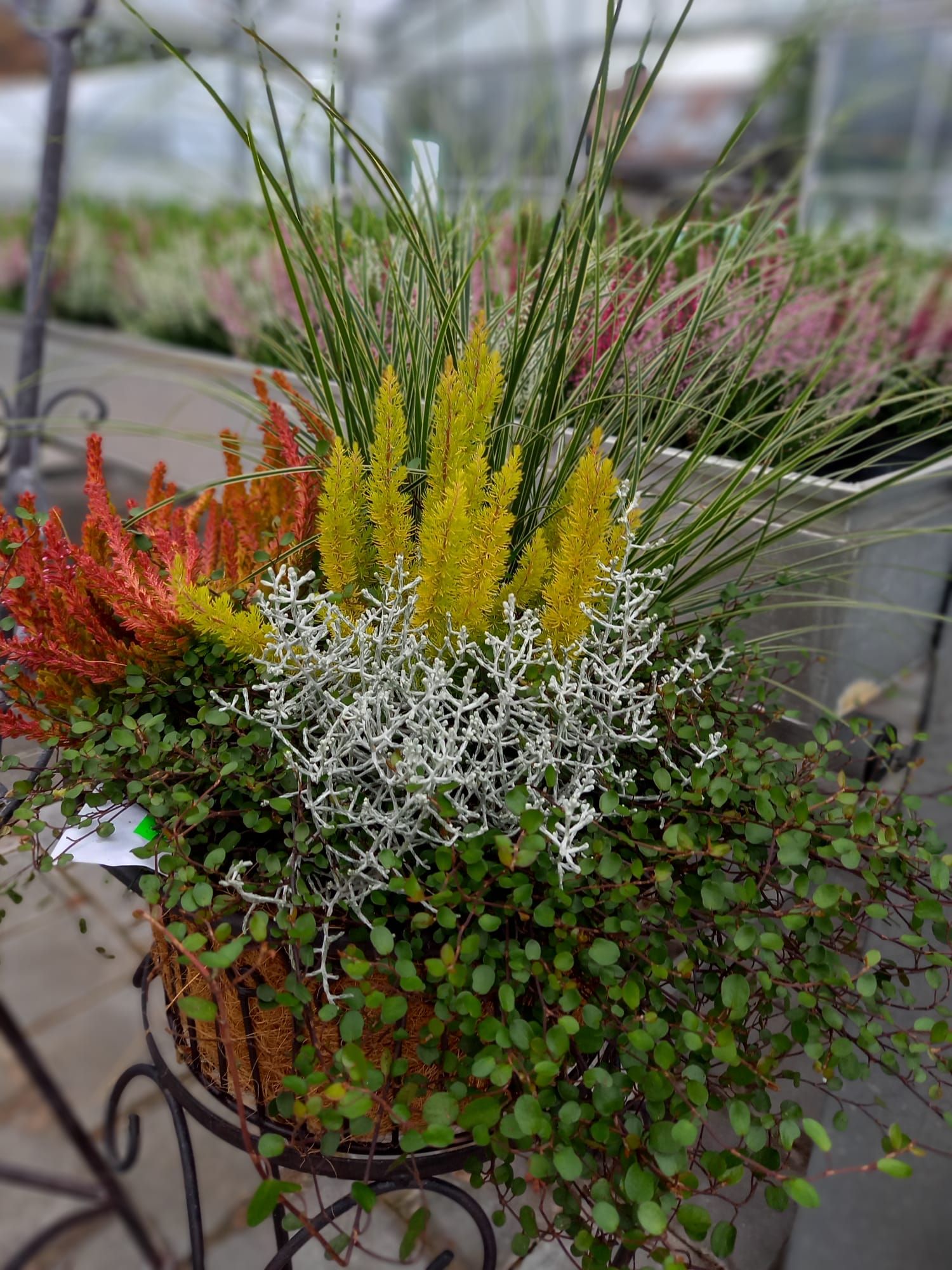 WhatsApp Image 2021-10-04 at 131005